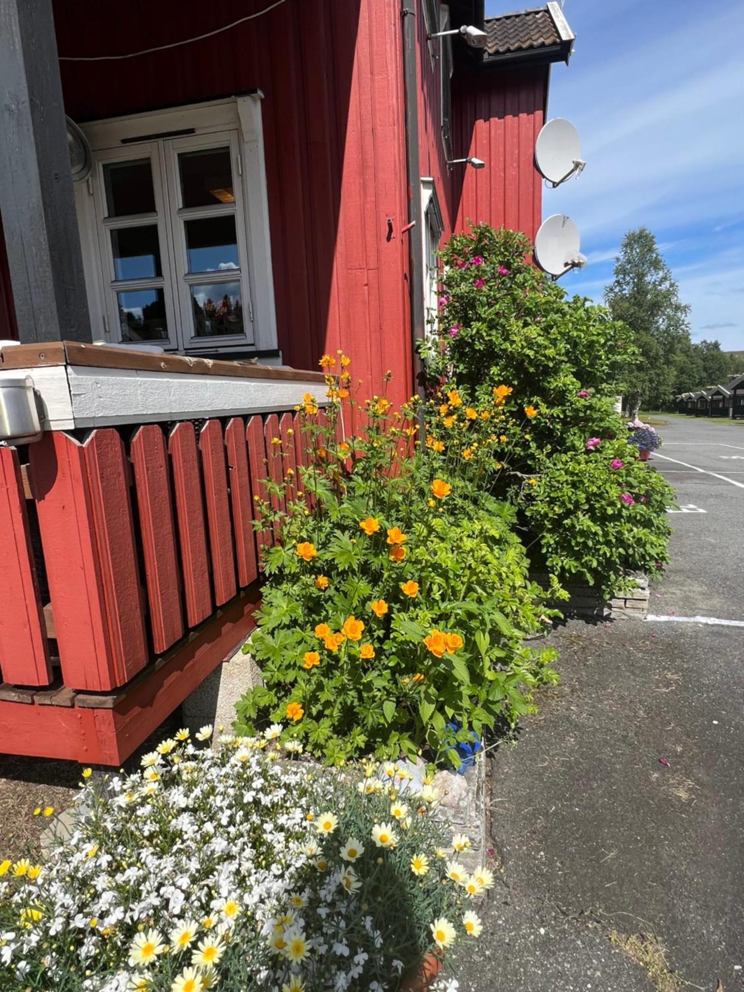 Gullvag Camping Nyberg Soknedal Exterior photo