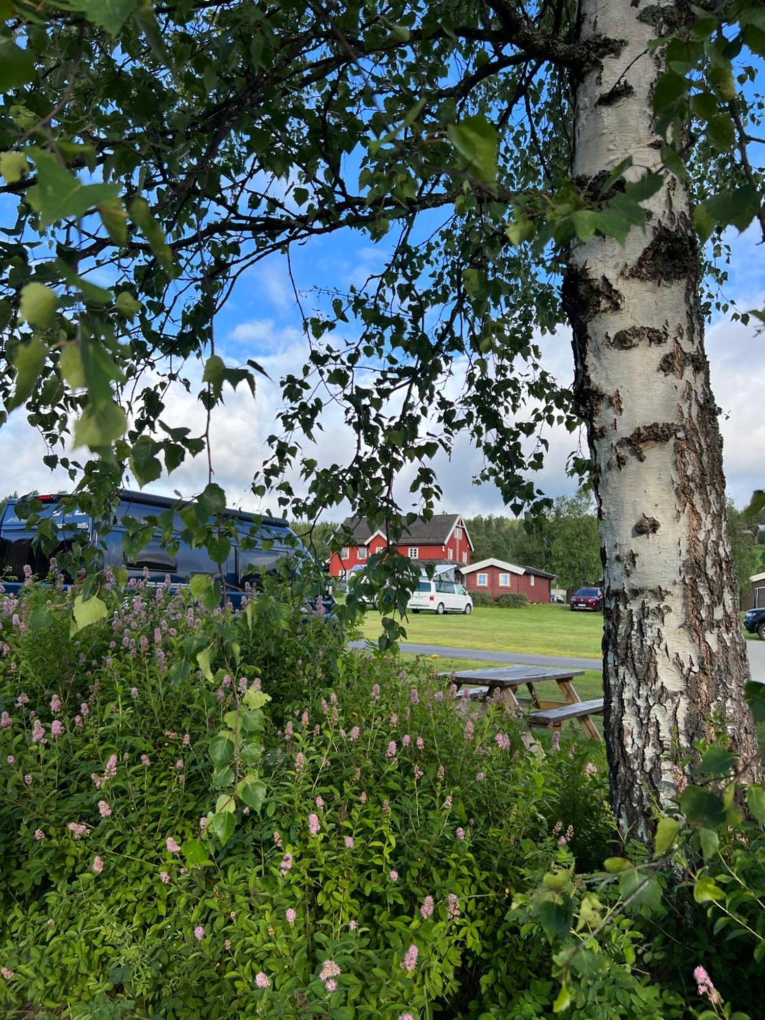 Gullvag Camping Nyberg Soknedal Exterior photo